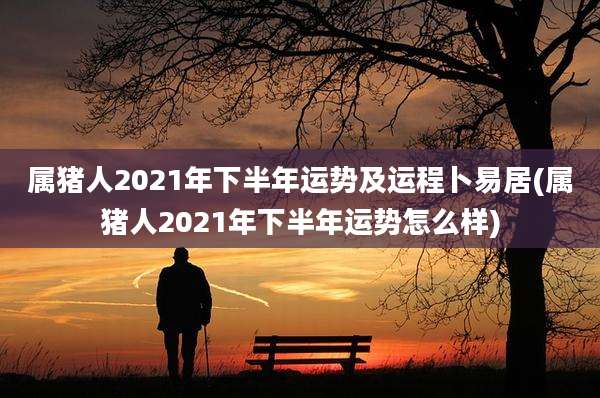 属猪人2021年下半年运势及运程卜易居(属猪人2021年下半年运势怎么样)