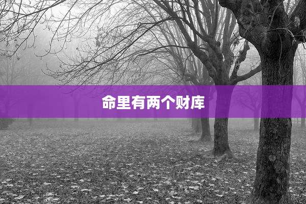 命里有两个财库