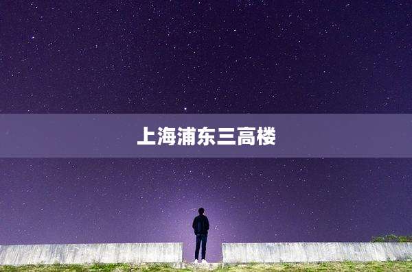 上海浦东三高楼