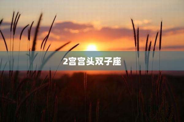 2宫宫头双子座