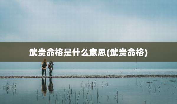 武贵命格是什么意思(武贵命格)