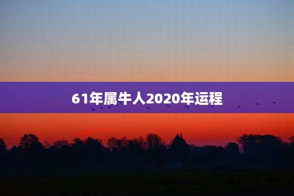 61年属牛人2020年运程