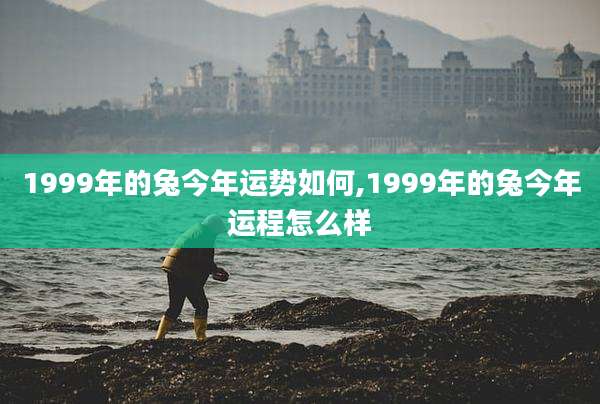 1999年的兔今年运势如何,1999年的兔今年运程怎么样