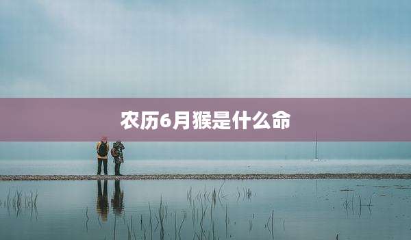 农历6月猴是什么命