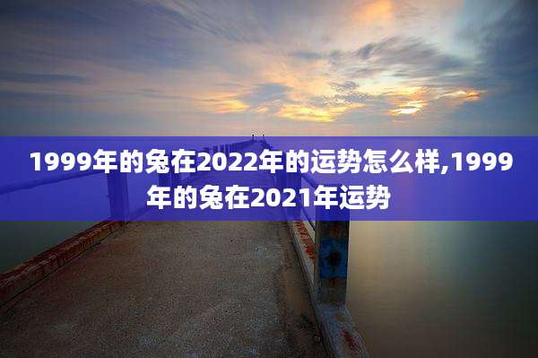 1999年的兔在2022年的运势怎么样,1999年的兔在2021年运势