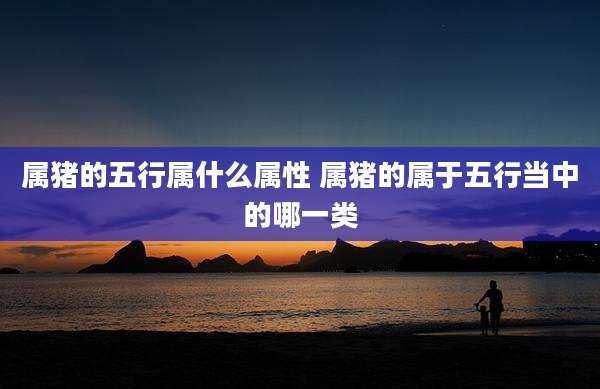 属猪的五行属什么属性 属猪的属于五行当中的哪一类