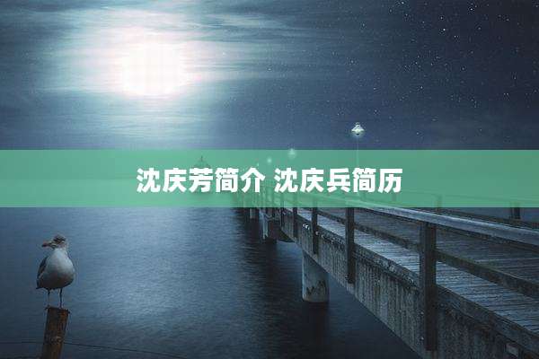 沈庆芳简介 沈庆兵简历
