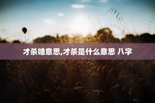 才杀啥意思,才杀是什么意思 八字