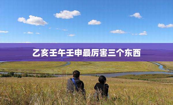 乙亥壬午壬申最厉害三个东西
