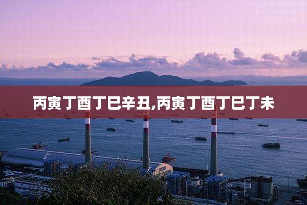 丙寅丁酉丁巳辛丑,丙寅丁酉丁巳丁未