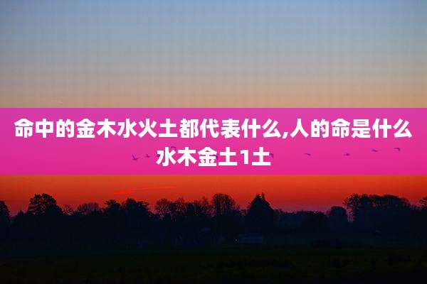命中的金木水火土都代表什么,人的命是什么水木金土1土