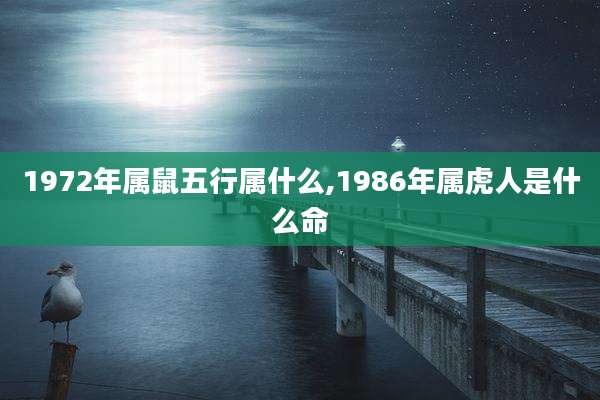 1972年属鼠五行属什么,1986年属虎人是什么命