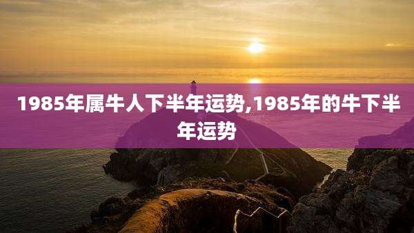 1985年属牛人下半年运势,1985年的牛下半年运势