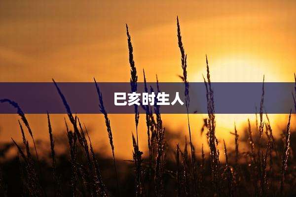 巳亥时生人