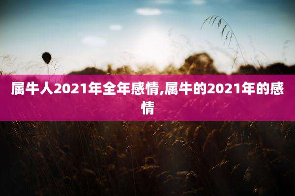 属牛人2021年全年感情,属牛的2021年的感情