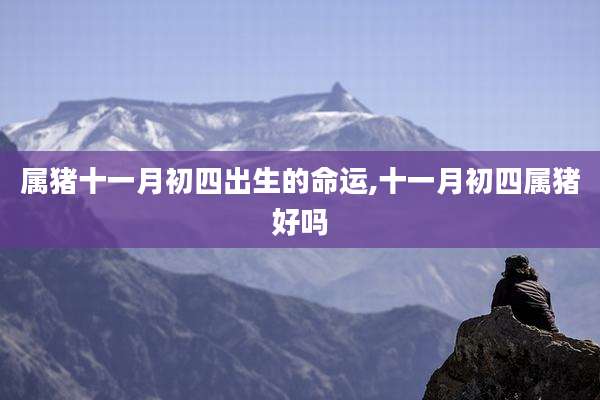 属猪十一月初四出生的命运,十一月初四属猪好吗