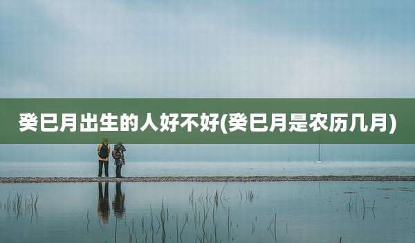 癸巳月出生的人好不好(癸巳月是农历几月)