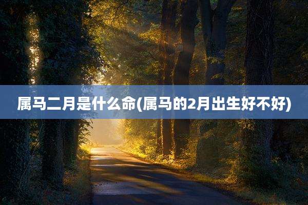 属马二月是什么命(属马的2月出生好不好)