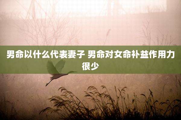 男命以什么代表妻子 男命对女命补益作用力很少