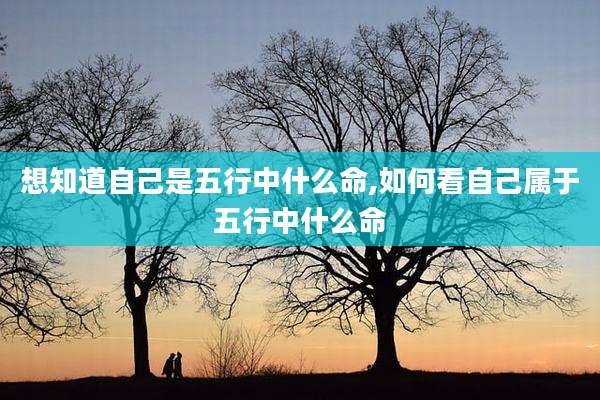 想知道自己是五行中什么命,如何看自己属于五行中什么命