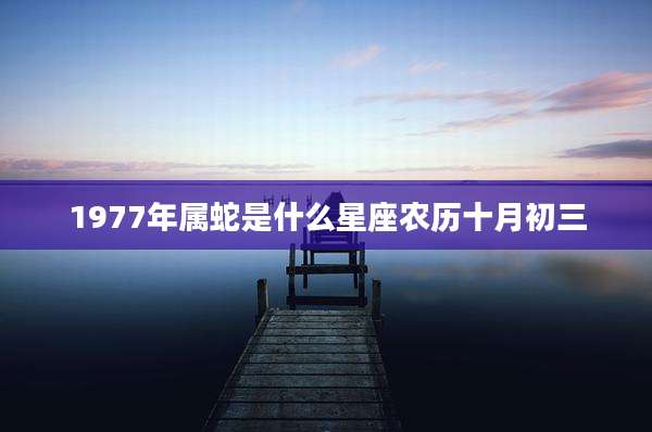 1977年属蛇是什么星座农历十月初三