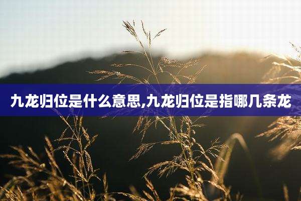 九龙归位是什么意思,九龙归位是指哪几条龙