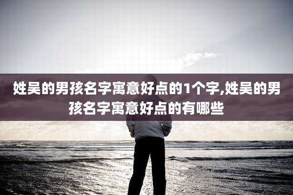 姓吴的男孩名字寓意好点的1个字,姓吴的男孩名字寓意好点的有哪些