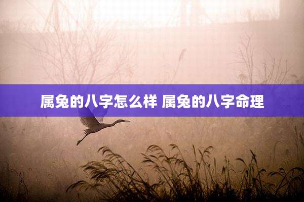 属兔的八字怎么样 属兔的八字命理