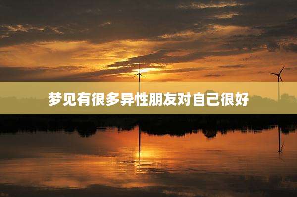 梦见有很多异性朋友对自己很好