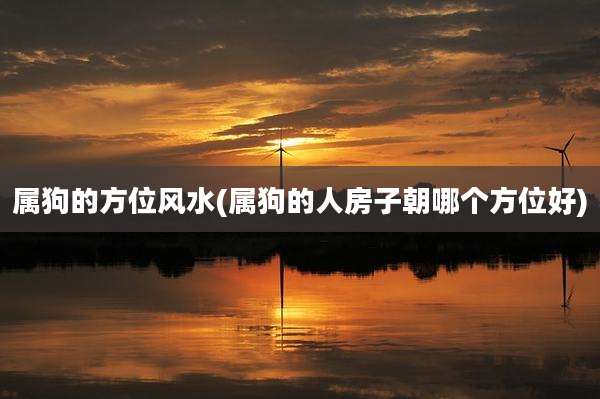 属狗的方位风水(属狗的人房子朝哪个方位好)