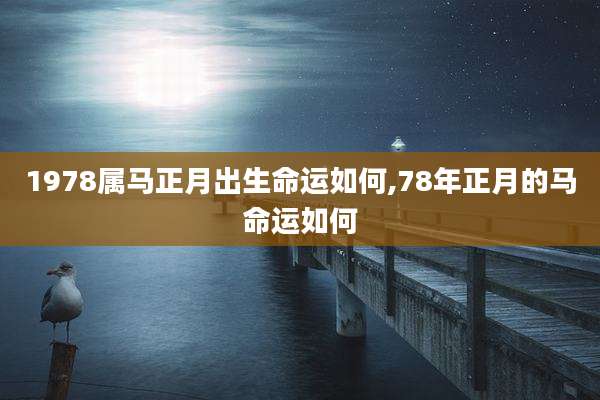 1978属马正月出生命运如何,78年正月的马命运如何
