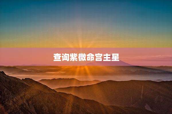 查询紫微命宫主星