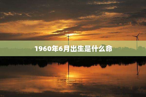 1960年6月出生是什么命