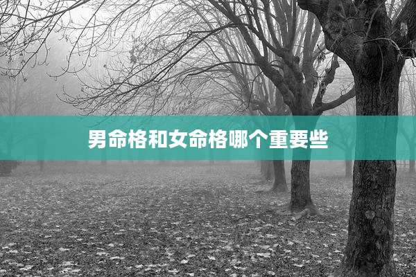 男命格和女命格哪个重要些