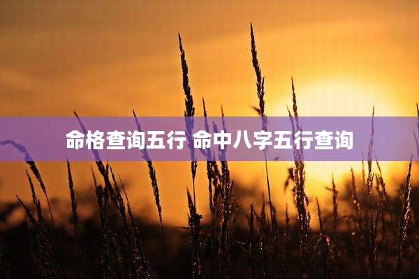 命格查询五行 命中八字五行查询