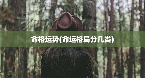 命格运势(命运格局分几类)