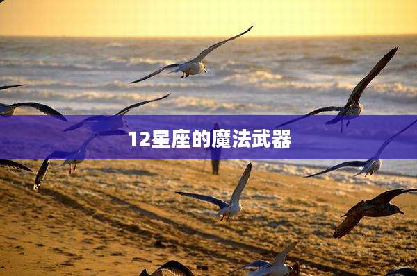 12星座的魔法武器