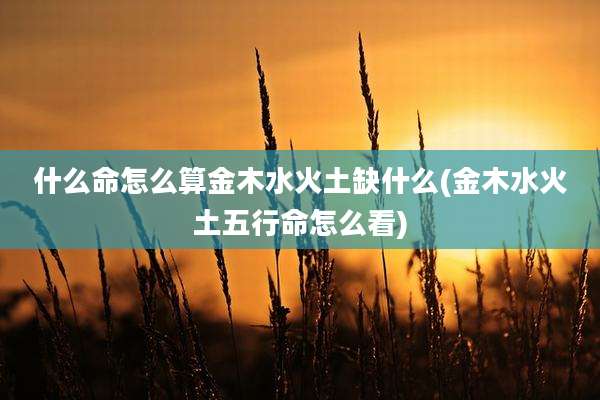 什么命怎么算金木水火土缺什么(金木水火土五行命怎么看)