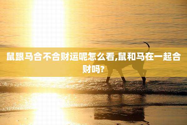 鼠跟马合不合财运呢怎么看,鼠和马在一起合财吗?