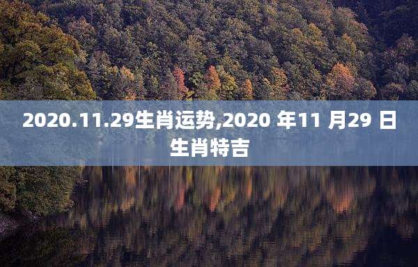 2020.11.29生肖运势,2020 年11 月29 日生肖特吉