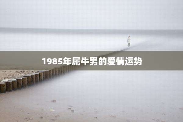 1985年属牛男的爱情运势