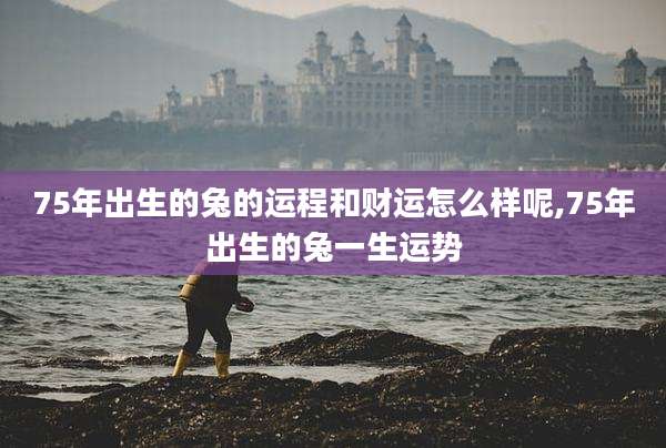 75年出生的兔的运程和财运怎么样呢,75年出生的兔一生运势