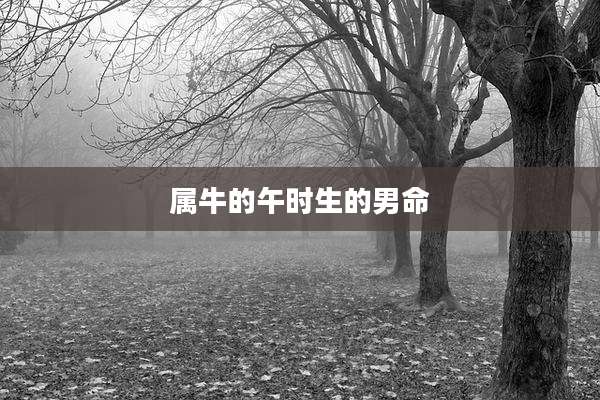 属牛的午时生的男命