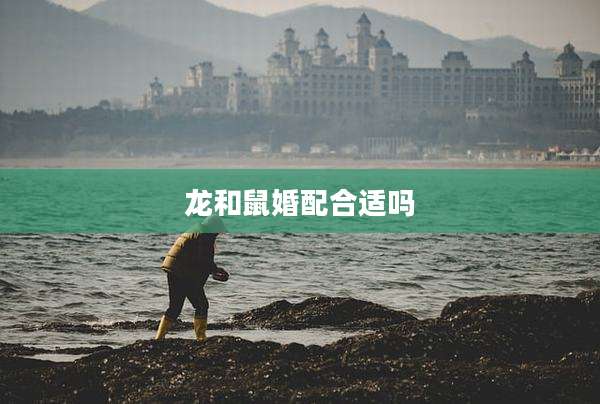 龙和鼠婚配合适吗