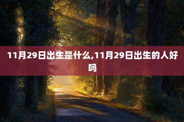 11月29日出生是什么,11月29日出生的人好吗