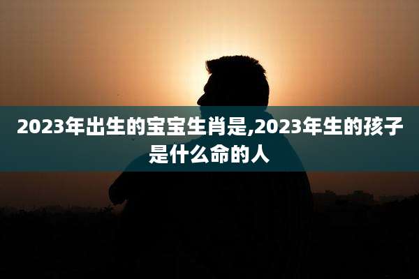 2023年出生的宝宝生肖是,2023年生的孩子是什么命的人