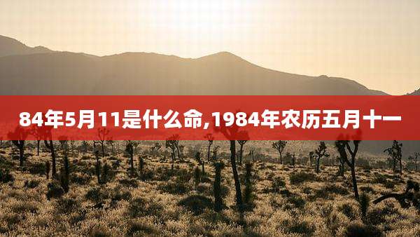 84年5月11是什么命,1984年农历五月十一
