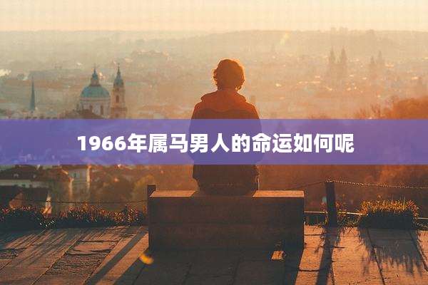1966年属马男人的命运如何呢