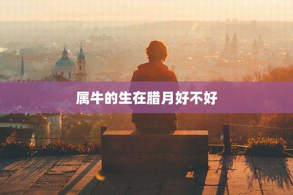 属牛的生在腊月好不好