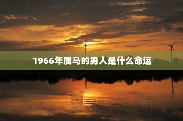 1966年属马的男人是什么命运